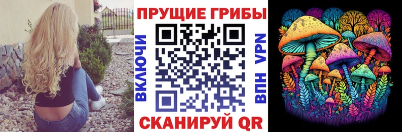 Галлюциногенные грибы Magic Shrooms  Навашино 